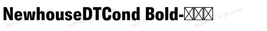 NewhouseDTCond Bold字体转换